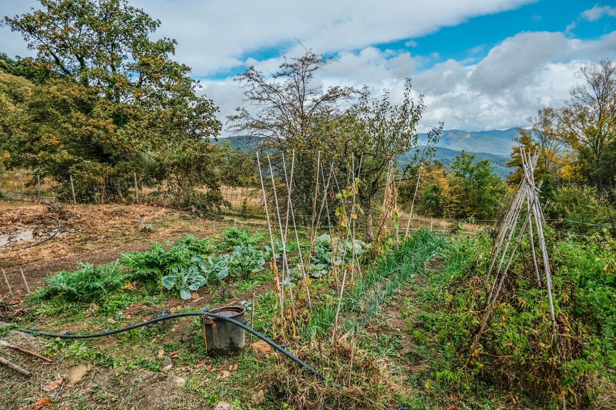 Rectoria De Castellar Villa ลาวัล เด เบียนยา ภายนอก รูปภาพ
